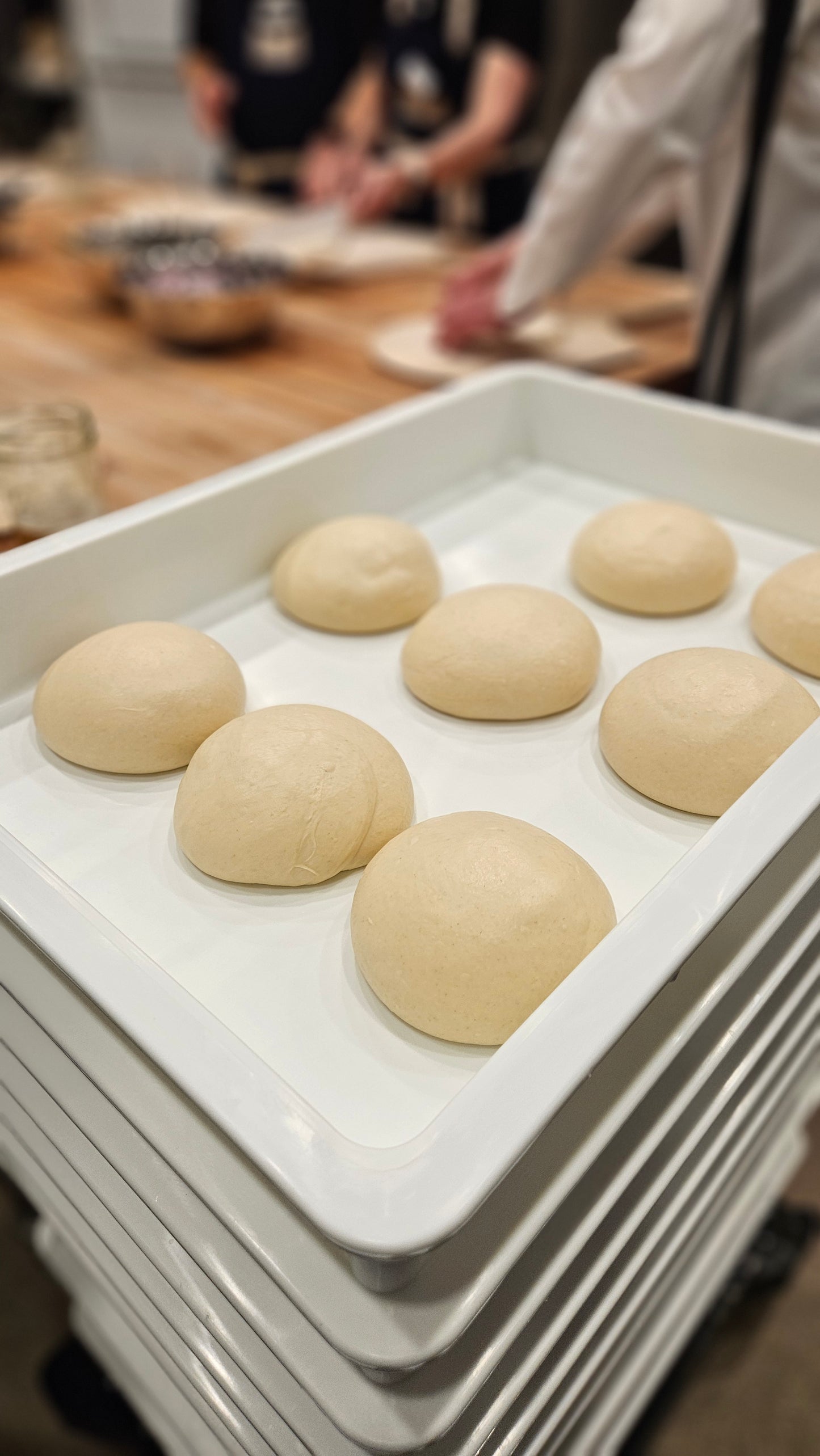 Frozen Dough for 10" Pizza (5 balls)